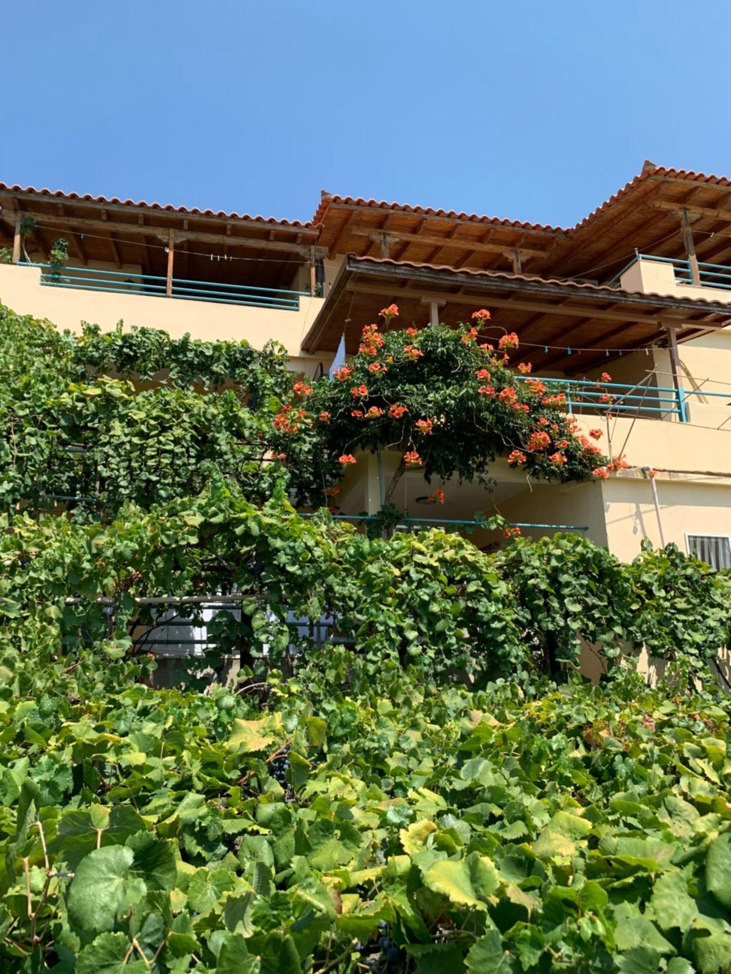 Sevilia Rooms Qeparo Exterior photo